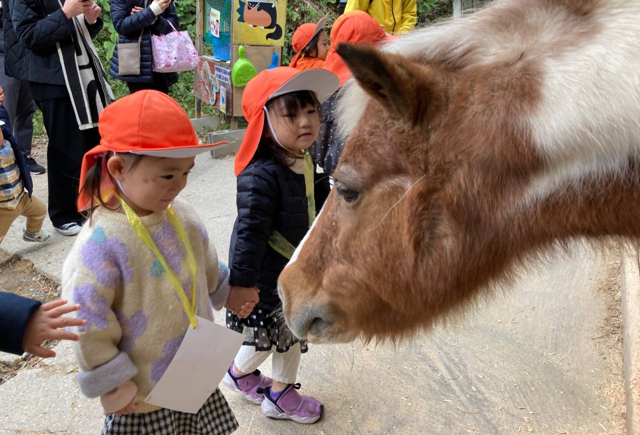 Aichi Farm Field Trip(秋の親子遠足in愛知牧場)☆Preschool(2歳児クラス)