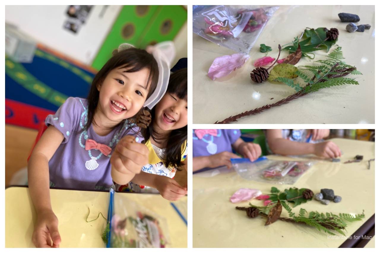We are learning about natural things! Kindy 2 ☆