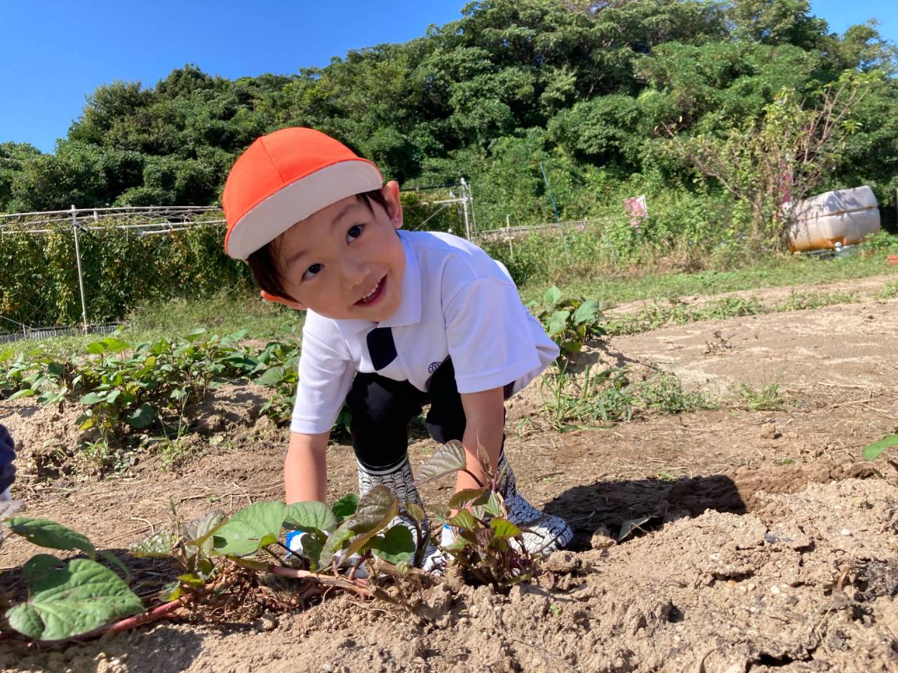 Digging Up Fun! ☆ Kindy 1