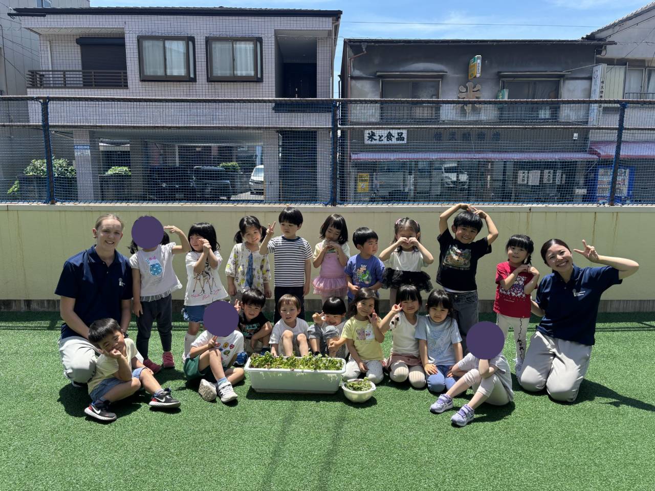 Growing Our Own Food ☆ Kindy 2