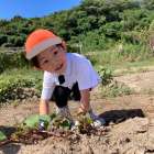 Digging Up Fun! ☆ Kindy 1