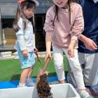 From Seeds to Salad ☆ Kindy 3